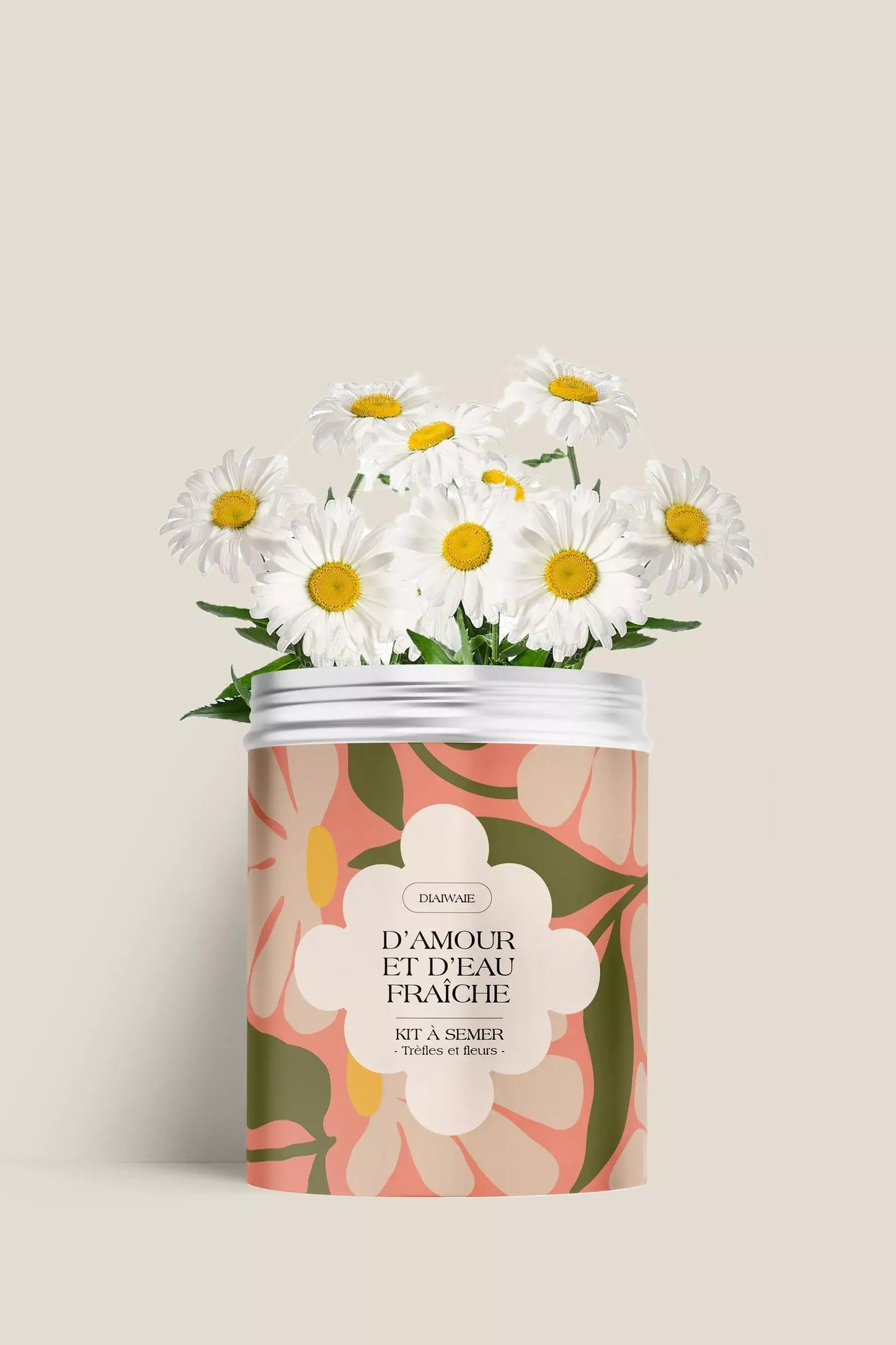 Kit de graines à semer de trèfles et fleurs des champs, idée cadeau femme recyclable, fabriqué en France, message positif et bienveillant, Diaiwaie