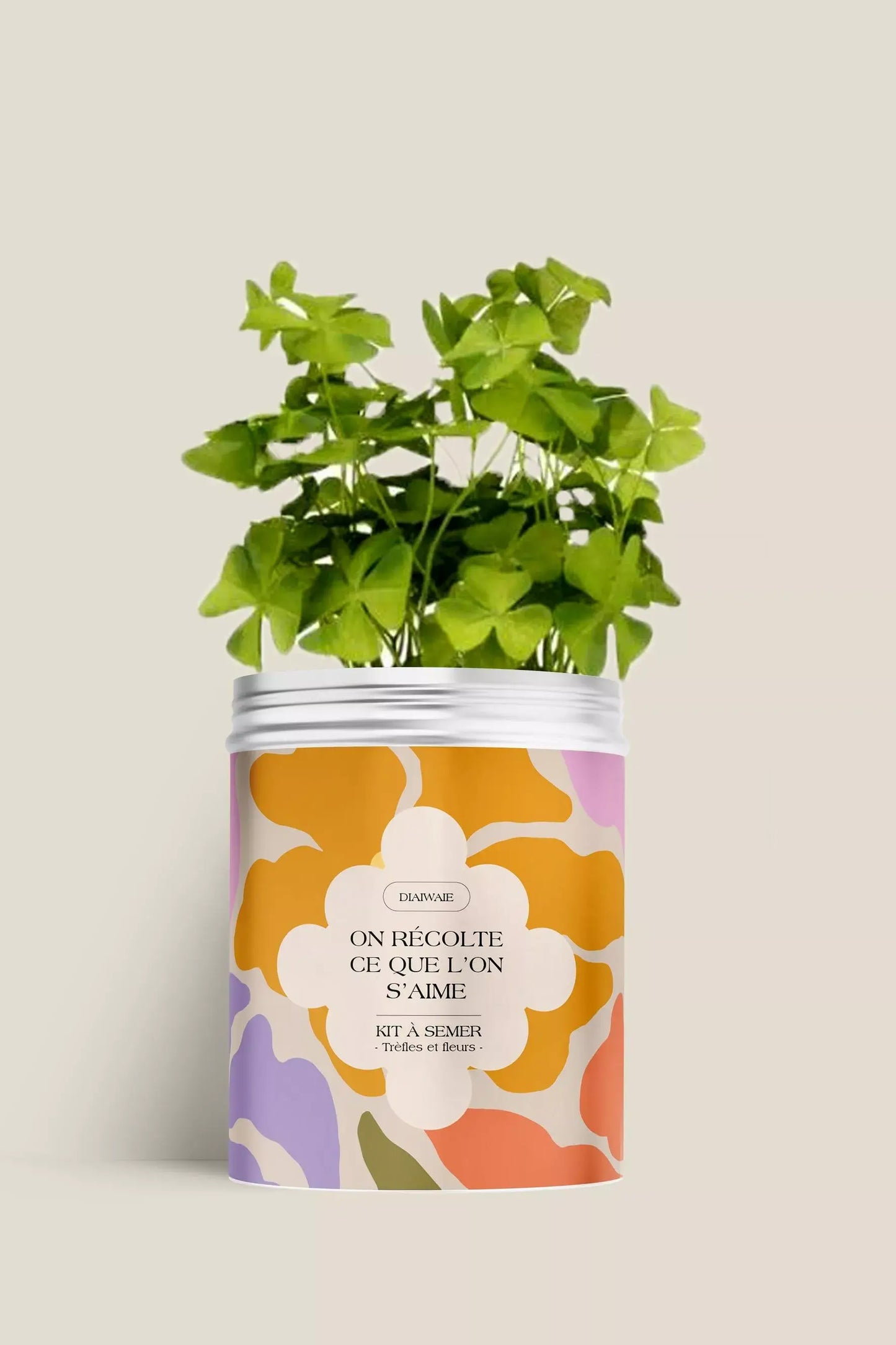 Kit de graines à semer de trèfles et fleurs des champs, idée cadeau femme recyclable, fabriqué en France, message positif et bienveillant, Diaiwaie