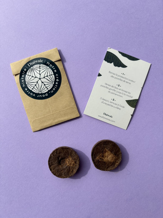 Intérieur des kits de graines à semer, Diaiwaie