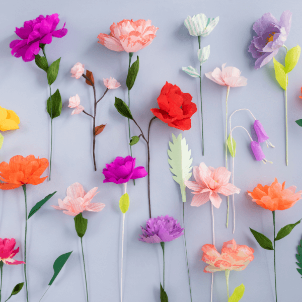 Fleurs colorées en papier.