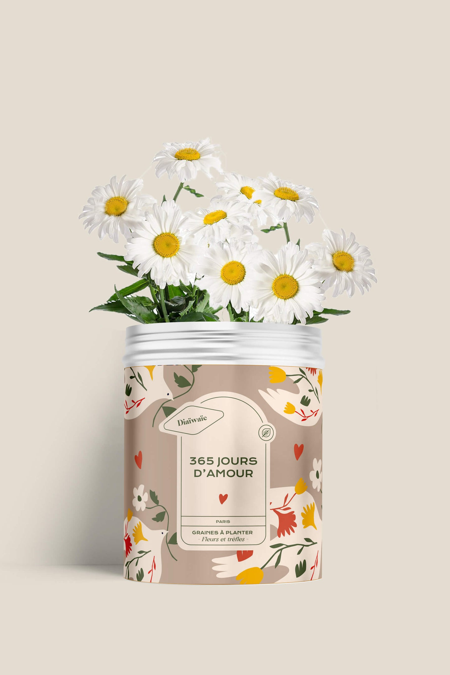 Kit de graines à semer de trèfles et fleurs des champs, idée cadeau femme recyclable, fabriqué en France, message positif et bienveillant, Diaiwaie 