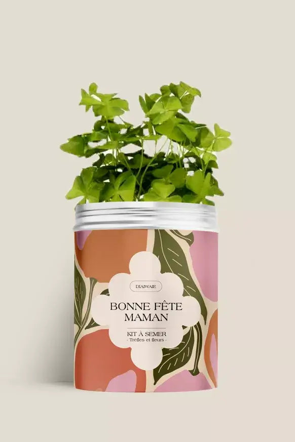 Kit de graines à semer de trèfles et fleurs des champs, idée cadeau fête des mères recyclable, fabriqué en France, message positif et bienveillant, Diaiwaie 