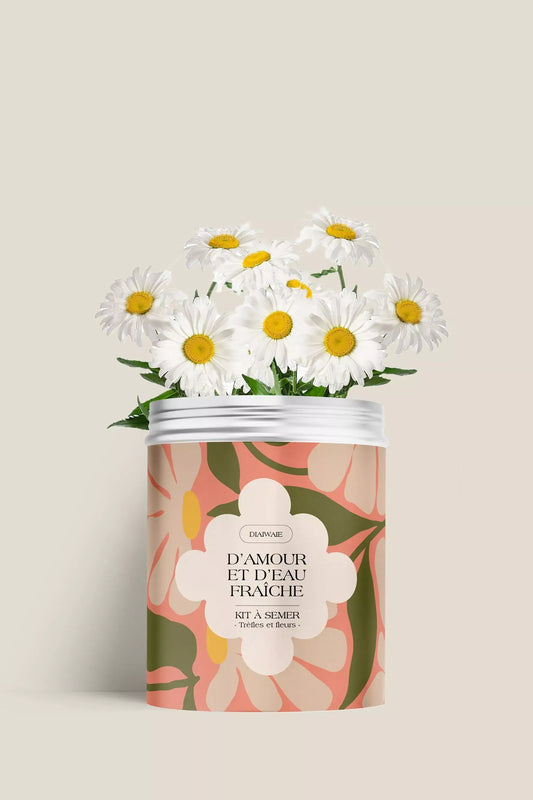 Kit de graines à semer de trèfles et fleurs des champs, idée cadeau femme recyclable, fabriqué en France, message positif et bienveillant, Diaiwaie 