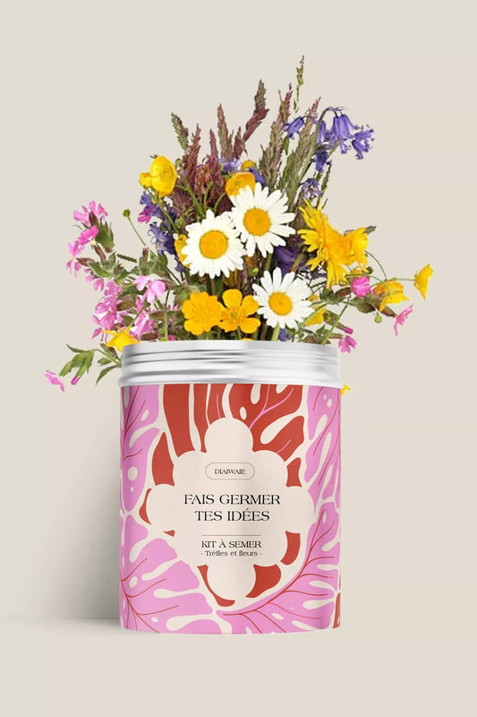 Kit de graines à semer de trèfles et fleurs des champs, idée cadeau femme recyclable, fabriqué en France, message positif et bienveillant, Diaiwaie 